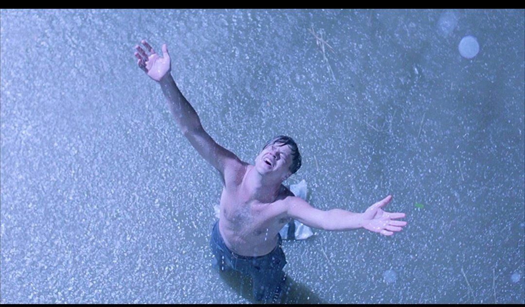 FilmographyFest's tweet photo. Title: The Shawshank Redemption (1994)
Director: Frank Darabont
Stars: Tim Robbins, Morgan Freeman, and Bob Gunton https://t.co/8ASFyQN1Sx