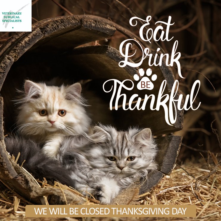VSSOCTustin's tweet photo. We are closed on Thanksgiving, but AVSG After Hours is available at 949-653-9300. We do have a surgeon on call for s https://t.co/8HGkBbCDuu https://t.co/NMULMH9FyP