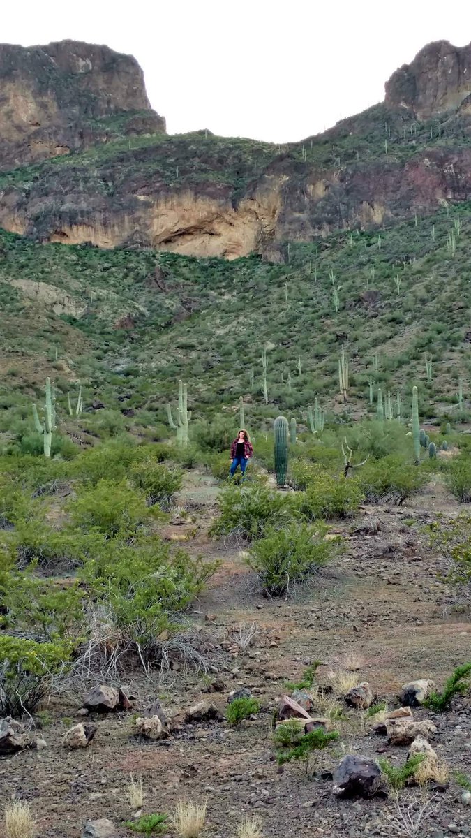 CurlzW's tweet photo. Picacho Peak State Park 🌵❤ https://t.co/0O5iTatFMa
