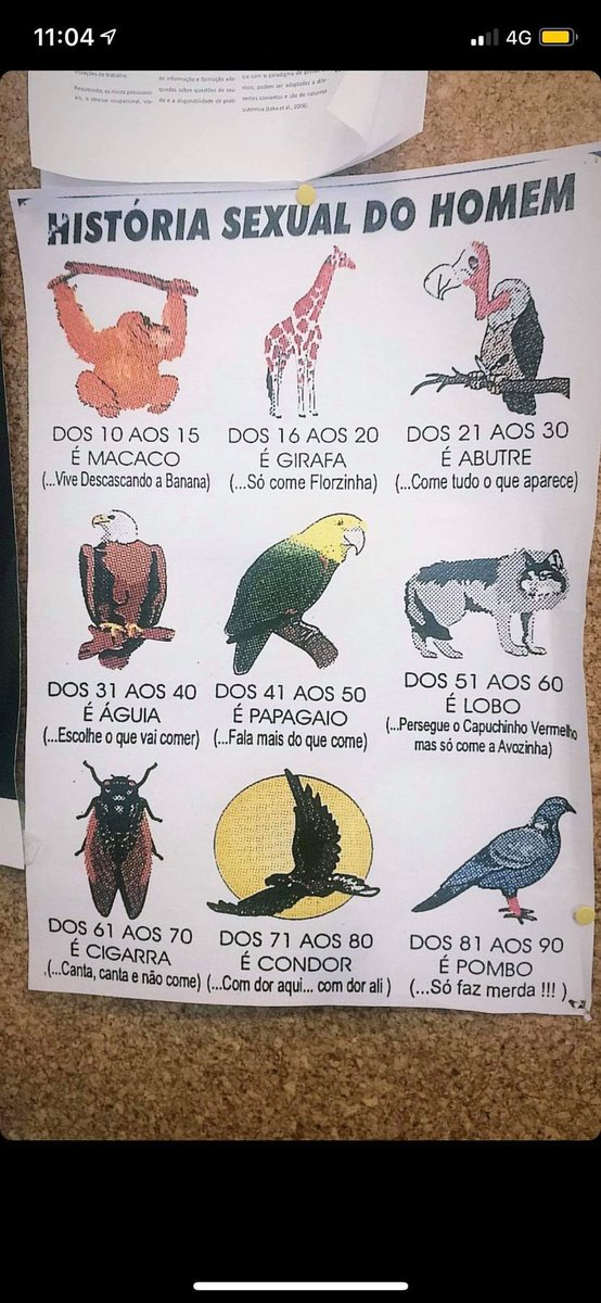 Jukas1618's tweet photo. História sexual do homem...true as fck https://t.co/Hk8y6YzV5F