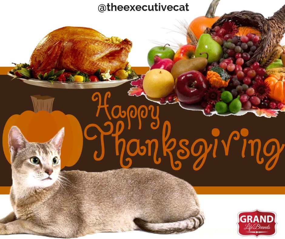 theexecutivecat's tweet photo. #HappyThanksgiving #ThanksgivingEve #CatsOfTwitter 🍗🐱🍞🍯😻🙏 https://t.co/iR02mKCwlw