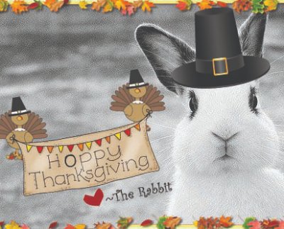 Wishing You &amp; Your family a Happy Wobble Wobble after your day long Gobble Gobble!! We are Thankful for you!!
#Nashville #Parents #FranklinTn #BrentwoodTN #moms #dads #thanksgivingparty #kidsparty #givethanks #gobblegobble #momlife #dadlife #turkeyday #fallfestivies #kids #parent