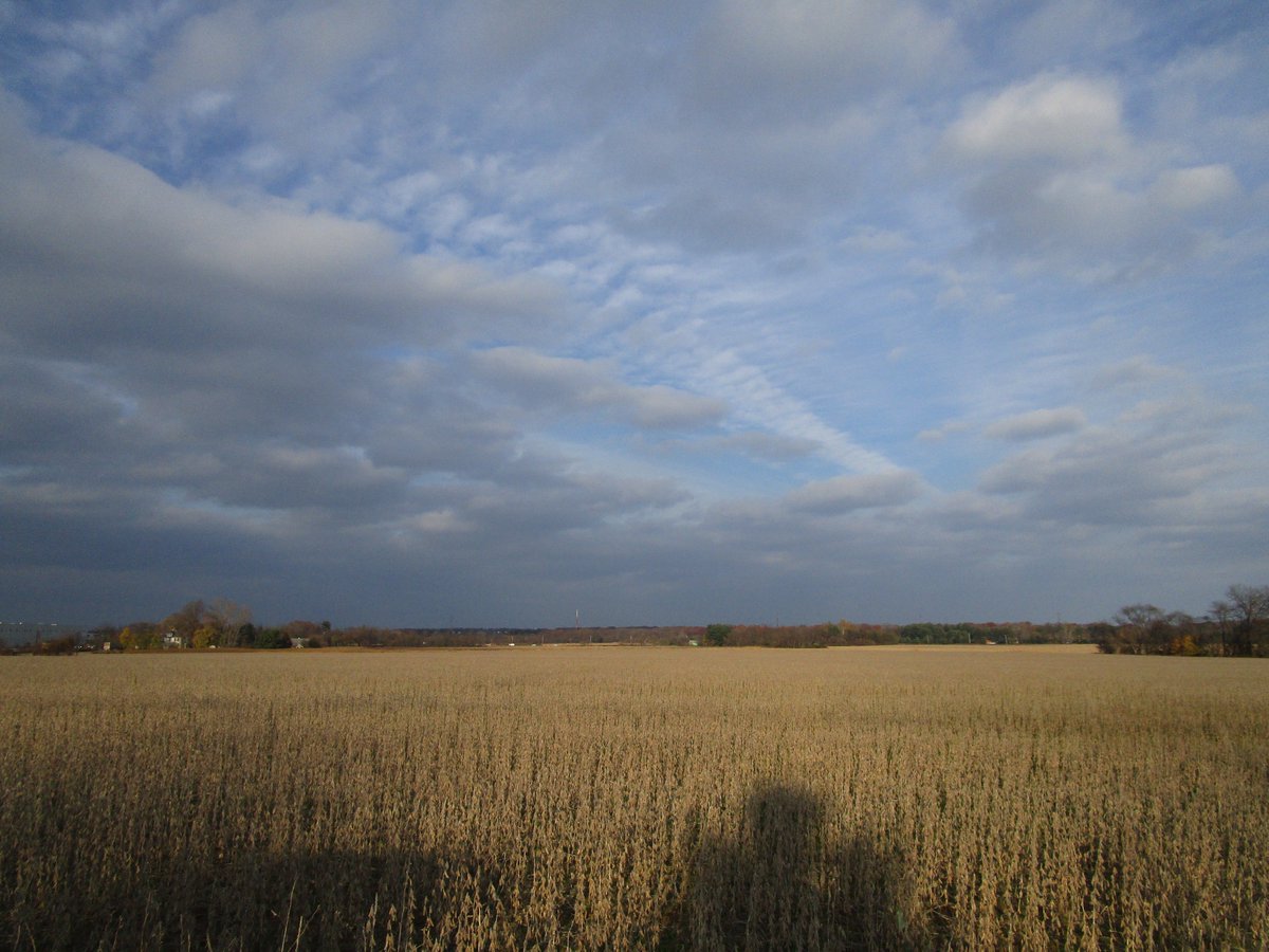 JosephSapia's tweet photo. Ominous sky versus sunny day on farmland in #MonroeTwp., #MiddlesexCounty, on Wednesday: https://t.co/ZusGmXb7hH