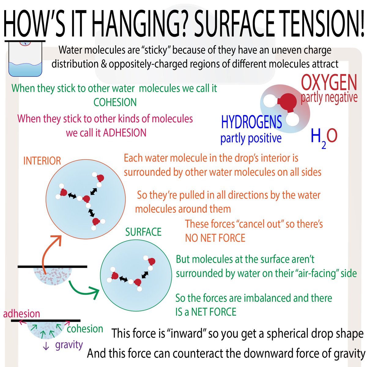 surface tension of water molecules