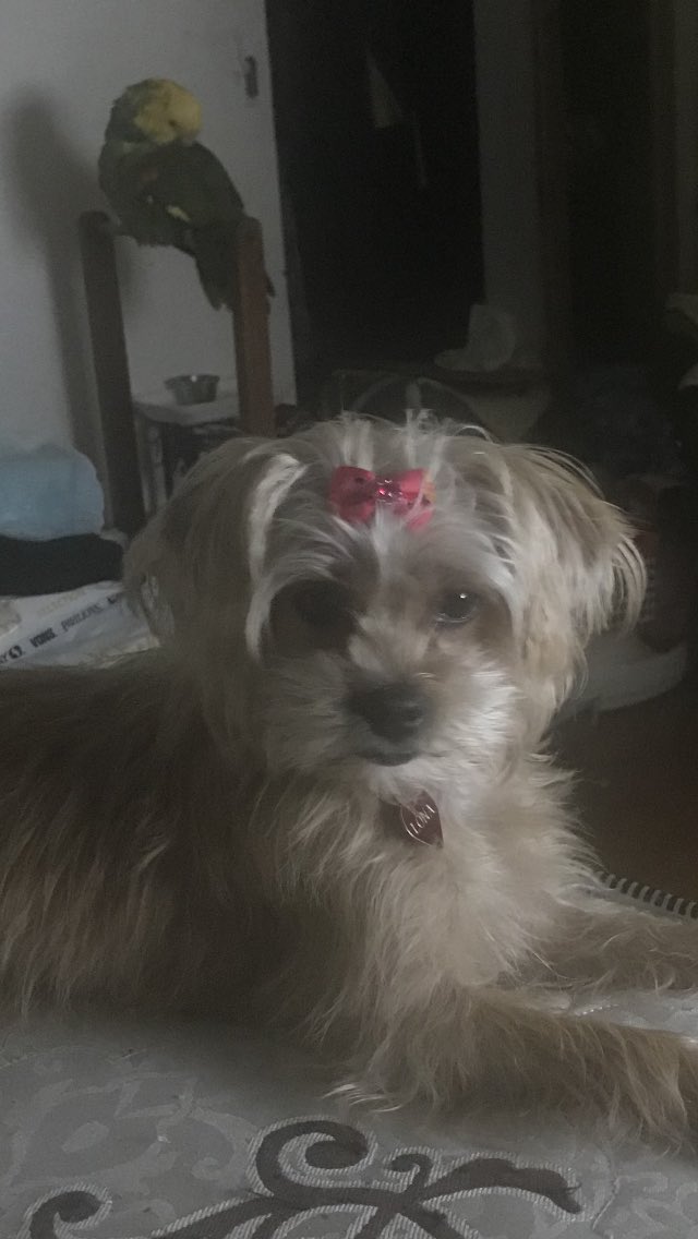 AChellal's tweet image. Nataya