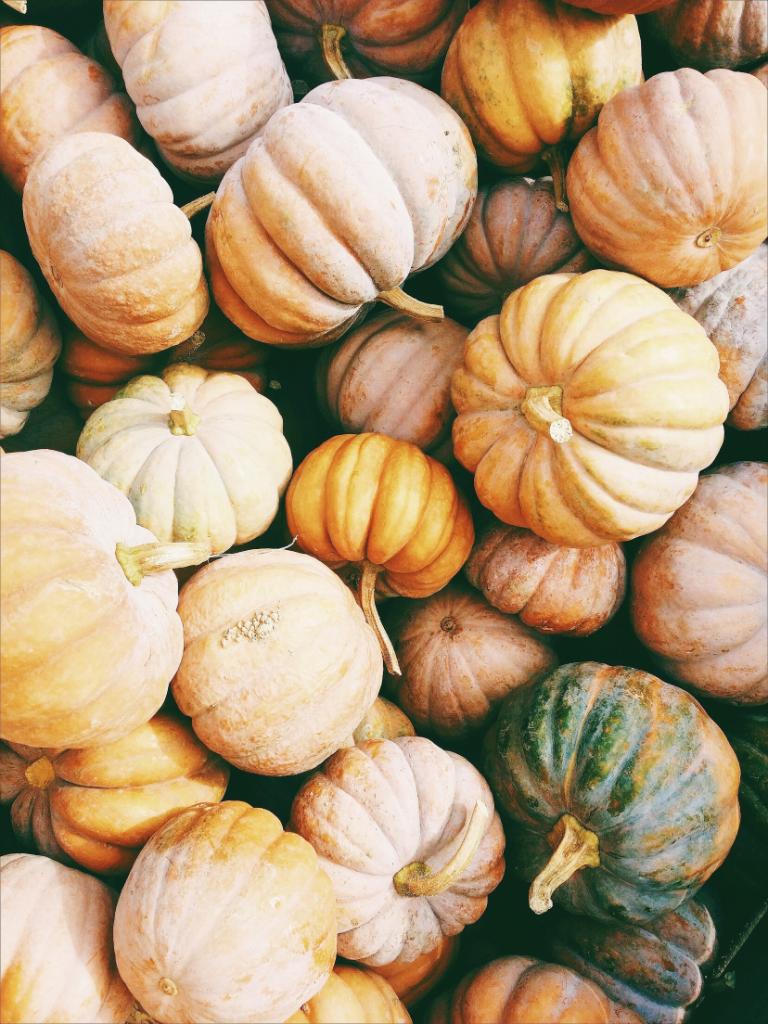 Looking for a fall activity to take your littlest pumpkins to? Put a day trip to Hodges Farm NC on the family agenda. With pumpkin picking, hay rides, animals, and yummy homemade food, something tells us the kiddos will stay occupied for a few hours. bit.ly/2zvM0Wo
