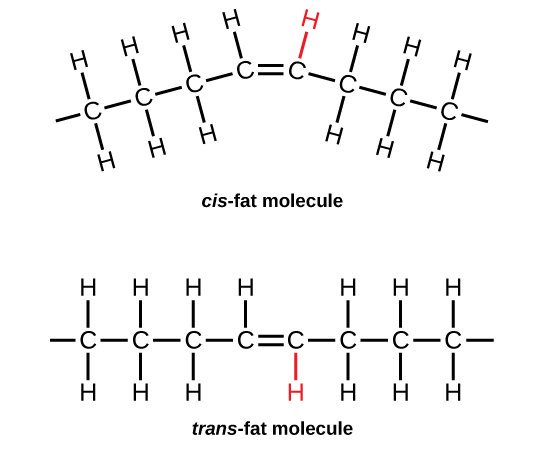 @UofGFoodProf Although it is not yet at a commercial stage, one way to suppress trans isomer formation is using zeolites as a catalyst support. Since the trans isomer is rather straight, it can fit into the zeolite pore, unlike the cis isomer which is bent. #FOOD2150 #Dijkstra @UofGFoodProf
