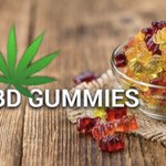 Image for the Tweet beginning: CBD Gummy Bears 🐻🍬 Visit