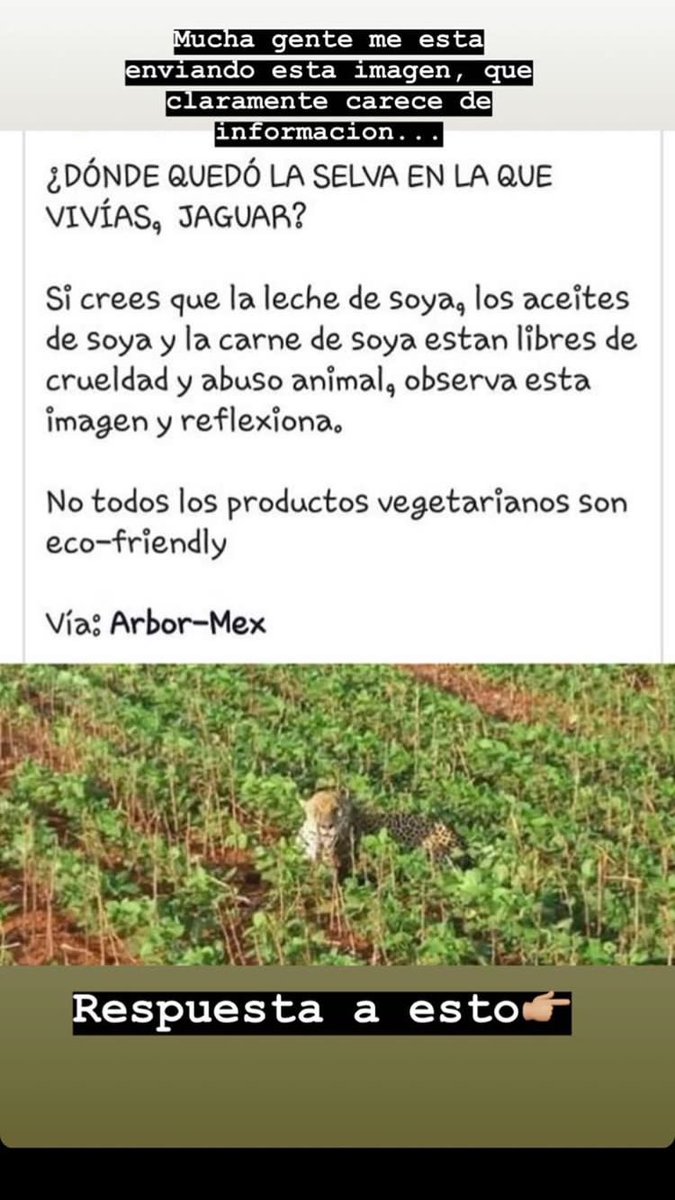 Paame_B's tweet photo. ♥️🌱 https://t.co/tvz5DGoxGm
