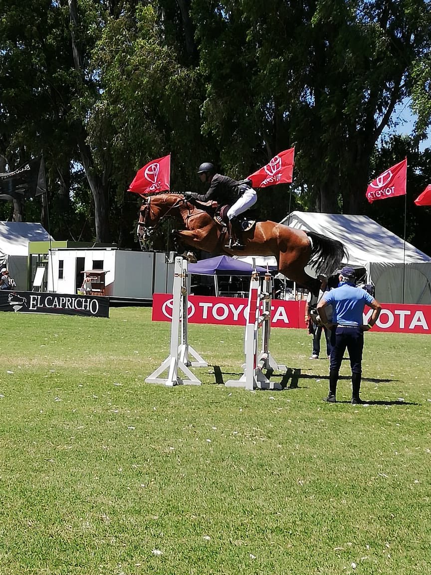 RandlabArg's tweet image. 1,50 mts 
Jinete: Federico Zuazo
Yegua: Air Cóbra Llavaberas Z
Haras El Capricho