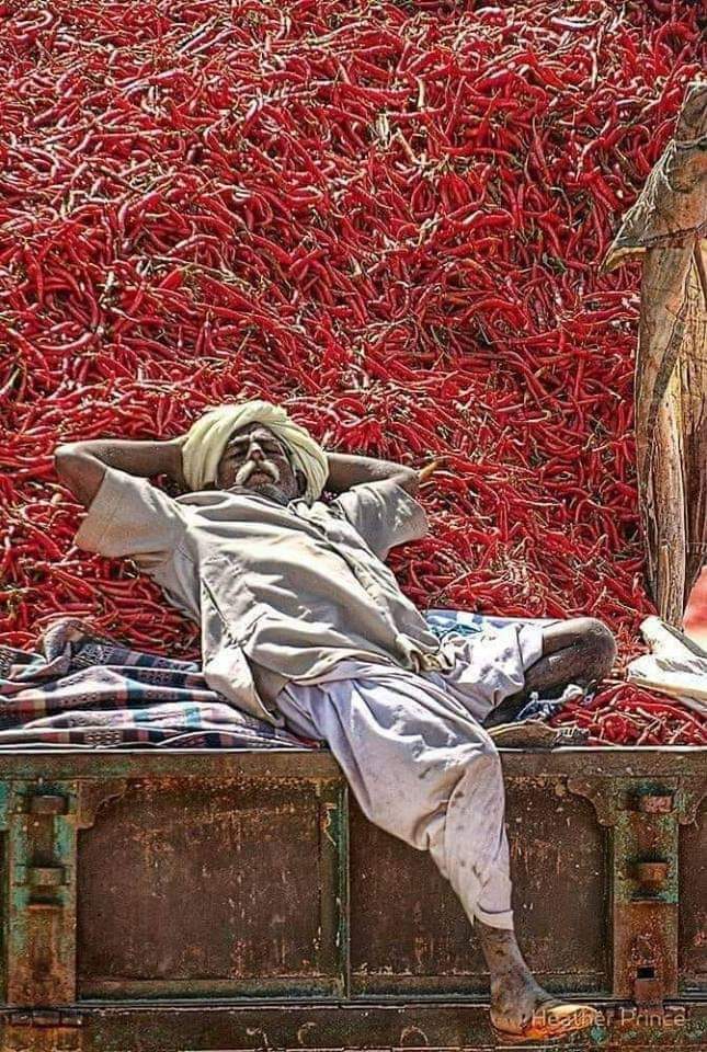 MayurSalunkhe tweet media