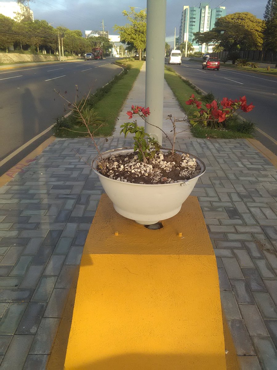 CisneroTobias's tweet photo. Los #Santiagueros, ausentes que vendrán a pasar las navidades con sus familiares. Encontrarán una ciudad, #Organizada, #Limpia, #Embellecida, llena de bellas obras de #Artes. @AbelMartinezD, has preparado la ciudad, para recibir a sus hijos ausentes. #EstiempodeVivirEnOrden. https://t.co/Wg1IVUVQ1I