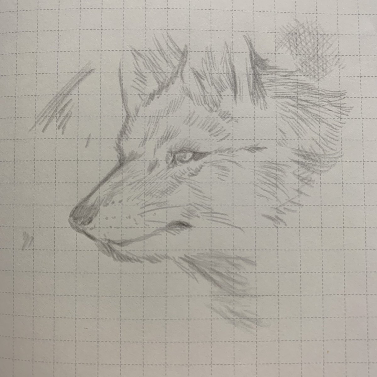 書き味は硬めの鉛筆って感じで悪くないです。メタルペンは紙との摩擦で酸化して線を残すという仕組みらしいので点々を打つ際は少しこする感じで書かないといけないという点はあるものの鉛筆のように手が汚れない消えない(消せない)
インクの換えがいらない等の利点がある文具。