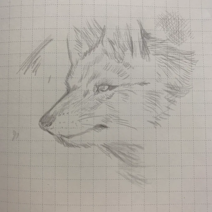 書き味は硬めの鉛筆って感じで悪くないです。メタルペンは紙との摩擦で酸化して線を残すという仕組みらしいので点々を打つ際は少しこする感じで書かないといけないという点はあるものの鉛筆のように手が汚れない消えない(消せない)
インクの換えがいらない等の利点がある文具。 