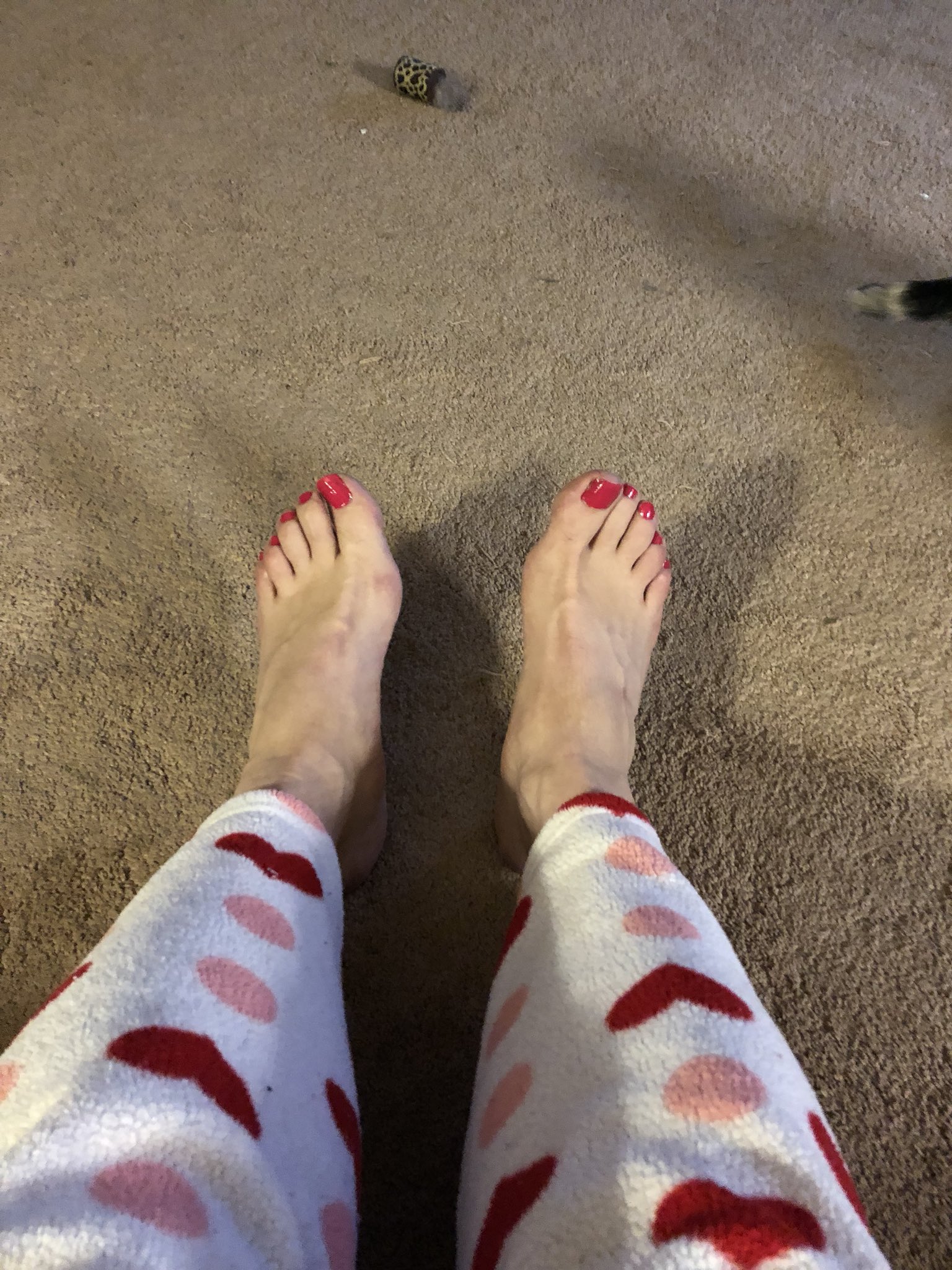 Donna on Twitter "What do you girls think of the color of my toes