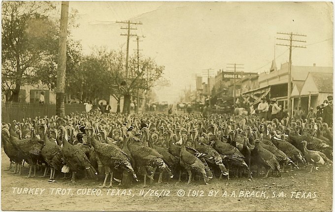 hpnbooks's tweet image. History of today's Turkeytrot is from @NYBuffalo @ymca #oldest in the #country #run Postcard of a "Turkey Trot" in Cuero on 11/26 1912 Wikimedia Commons, free media repository.  #History #Thanksgiving #First #turkeytrot