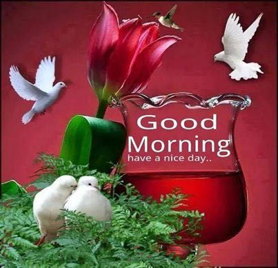 BA_Awan_07's tweet photo. الســــــلام عليــــــكم 🌹

رسول اللّہ (ص) نے ارشاد فرمایا!

جب کوئی شخص قرآن شریف پڑھتا ہے تو فرشتہ اس کی دونوں آنکھوں کے درمیان (یعنی پیشانی) کو (احتراماً) بوسہ دیتا ہے...

قرآن پڑھیں اور اسے سمجھیں کیونکہ اسی میں کامیابی کا راز ہے!

صباحُ النور!
صبح بخیر! https://t.co/ptKPVJ0b4X