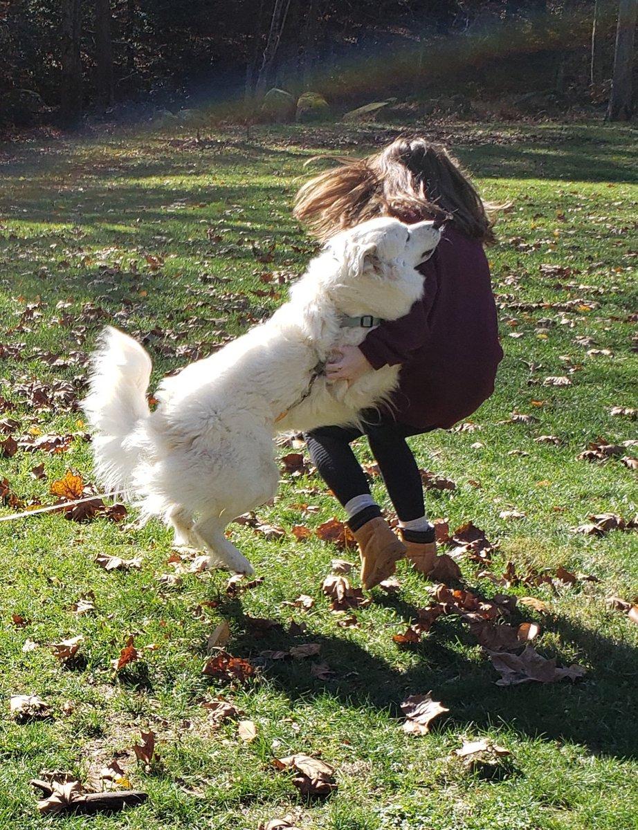 openwhennotes's tweet image. #hokiehounds