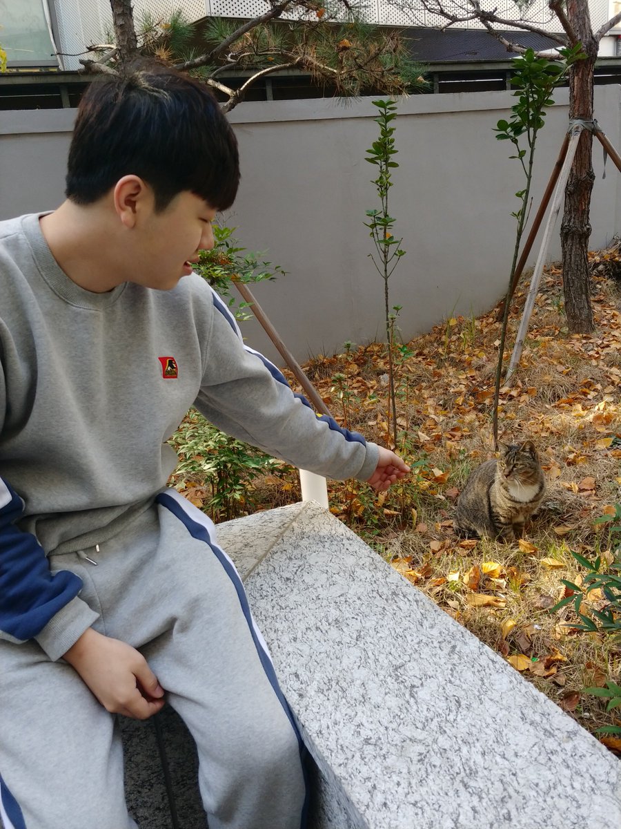 OPGG_SPORTS's tweet photo. [18.11.22 OP GAMING 일상컷]

식빵 굽는 뽀와 식빵 굽는 고냥이 💛💜

#BBABBO #cat https://t.co/oetf4JJrDy