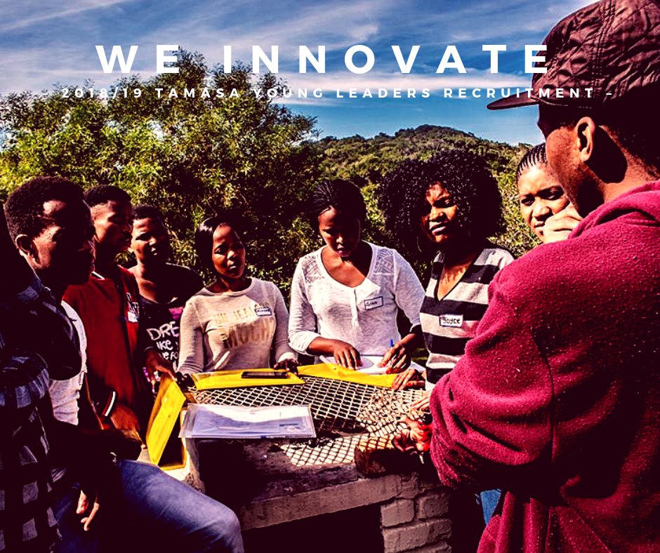 WE INNOVATE!

Closing date for applications is 7 December 2018
#TAMASA #EU_SAyouth #WeAreRestless
<a href="/EUinSA/">EU in SA</a> <a href="/ECCF/">Commercial Finance</a>