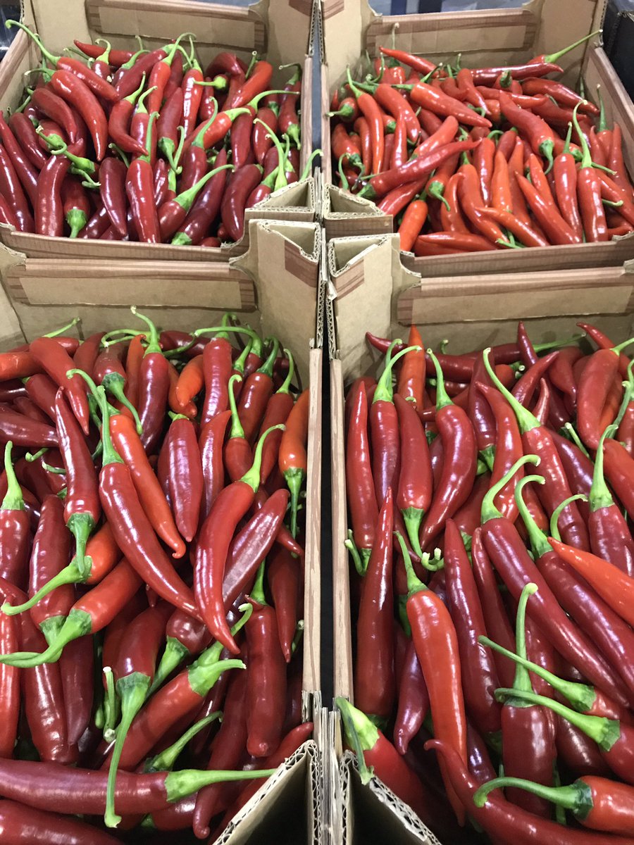 Red Chilli looking amazing #quality this morning #chef #hot