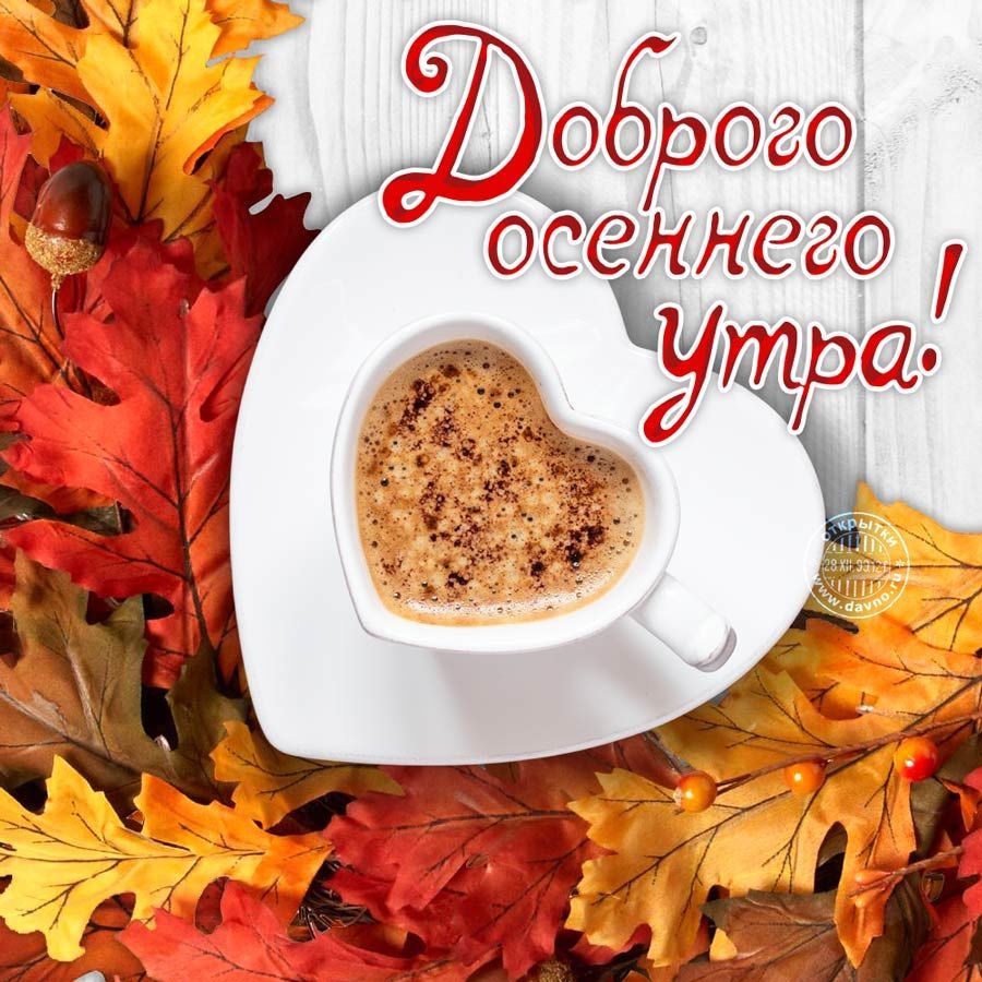 Быка открытки, открытка октябрь доброе утро