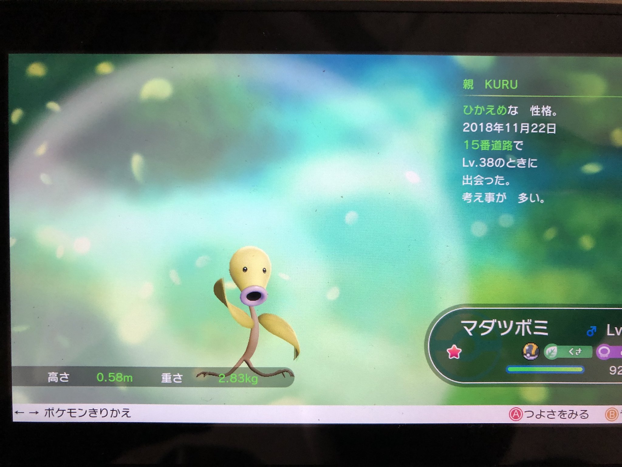 潔癖症のkuru ピカブイ最初の色違いがマダツボミw 潔癖症のkuru ピカブイ最初の色違いがマダツボミw