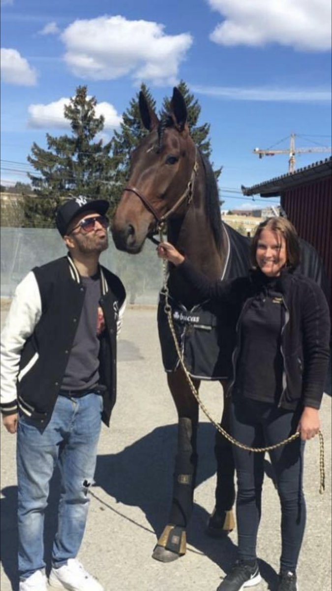 patriciagordin's tweet photo. Let Us pray tigether🙏🏻 #Ultraljud #SeanBanan #Monte #Travsport 🐎 https://t.co/9XNiXwNEDv