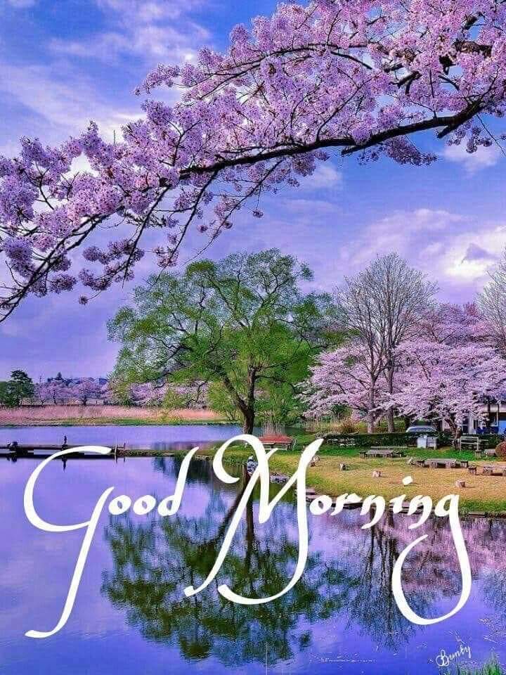 KASHAN BANTWA (@bantwakashan) on Twitter photo 