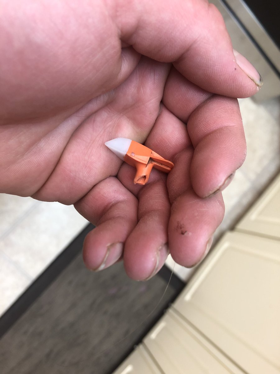 RagenKajen's tweet photo. Wife just found this in the dryer. We’re in the several thousands of cattle processed so far this fall but that’s still impressive considering the only jeans I own are Wranglers. Somehow flew off a calf’s ear into my pocket.
#process18 #fallrun18 https://t.co/UKDZ1ydB7s