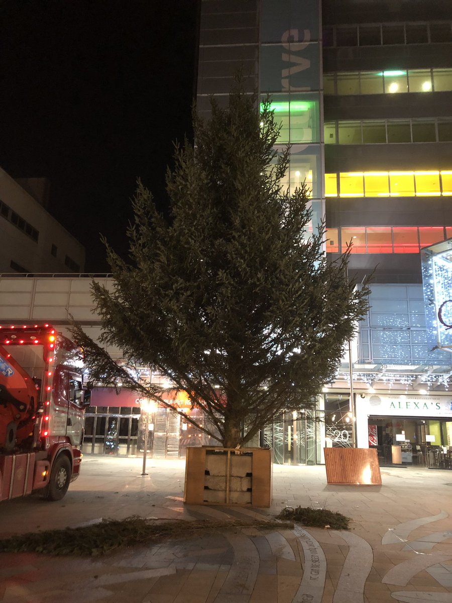 While the children are sleeping our elves are installing the biggest Christmas tree ever seen in the town centre; a massive 45ft of gorgeous Norwegian spruce from a sustainable forest! It’s beautiful! Lights and baubles go on tomorrow. Beginning to feel a lot like Christmas😍🎄🎄