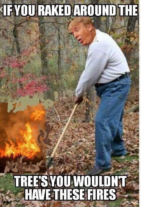 p91fun's tweet photo. @realDonaldTrump #MakeAmericaRakeAgain #goDonny keep up that good raking. Keep America safe, rake it https://t.co/bWisQ46Sb9