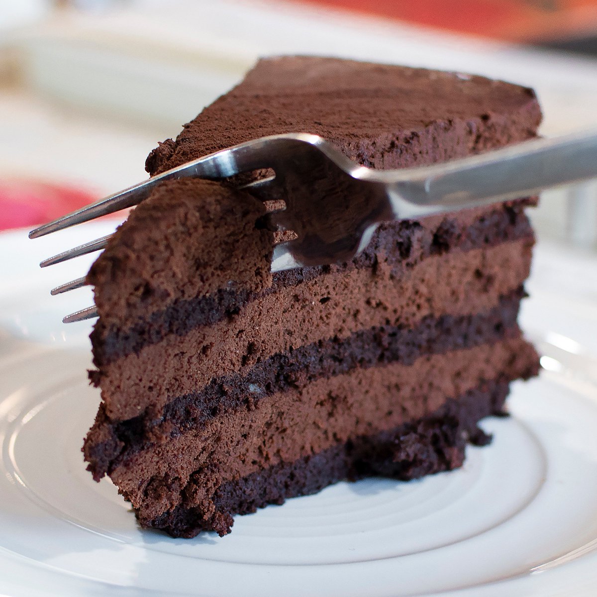 munchaustin's tweet photo. 🤩 The Guayaquil Chocolate Torte from Cookbook!! First of all, I’m still in LOVE with the new library. Second, Cookbook (located in the library) is a must visit for anyone looking for a new spot around the Seaholm District... especially if you have a soft spot for chocolate 😍 https://t.co/RuTXFKVIow