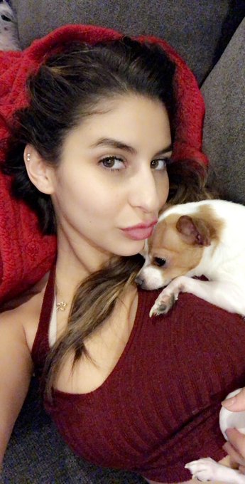 Puppy love ❤️ https://t.co/A1cXWlBscR