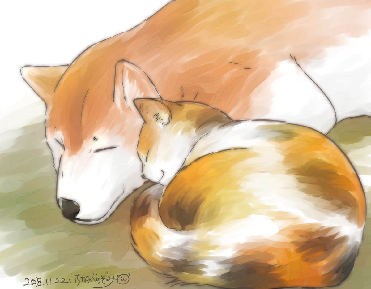 今日は いい夫婦の日 ですが 個人的に わんわんにゃんにゃんの日 でお願いし 一永のぞみ コンビニで君との５分間 最終6巻11 25発売 の イラスト