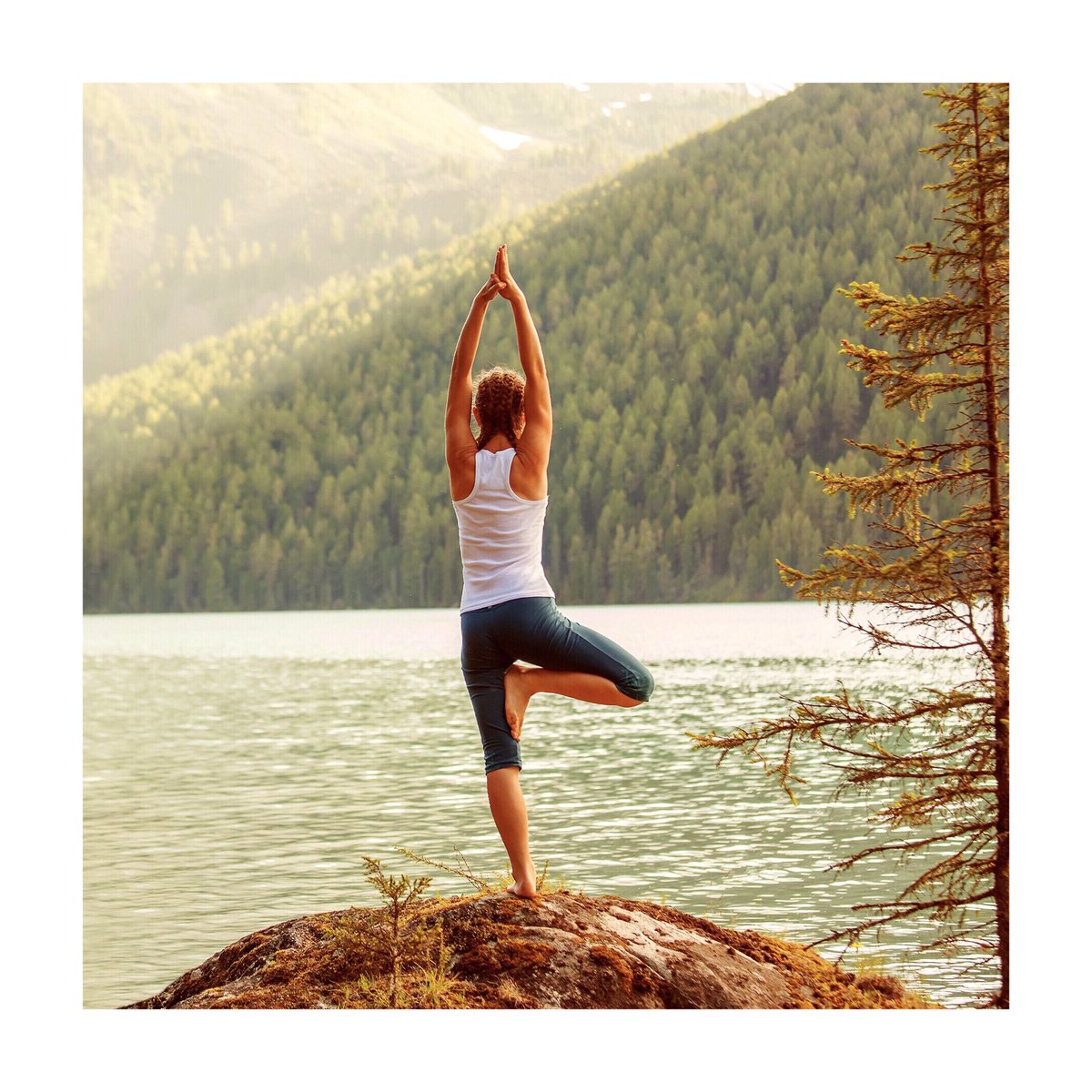 WhisperSammie's tweet photo. STOP 🛑 RESET 🧘‍♂️ STRETCH 💚 ⠀
⠀
#yogalife #yogainspiration #fitness #fitnessmotivation #strengthtraining #aerobic #pump #pumpclass #kickboxing #stepclass #pilateslovers #indoorclimbing #healthylifestyle #cardioworkout #muscle #womenfitness #gymfamily #fitnessgoal https://t.co/73ImN7GkpQ