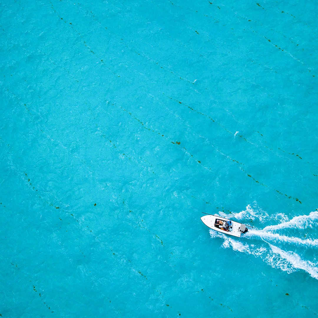 CostaSunglasses's tweet photo. Speeding through all the shades of blue. #wildblueweek
Learn more at https://t.co/IiCIf5rVbk. https://t.co/N1HCTu5b27