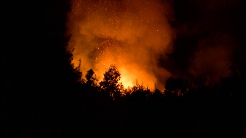 Palm Springs Aerial Tramway Fire