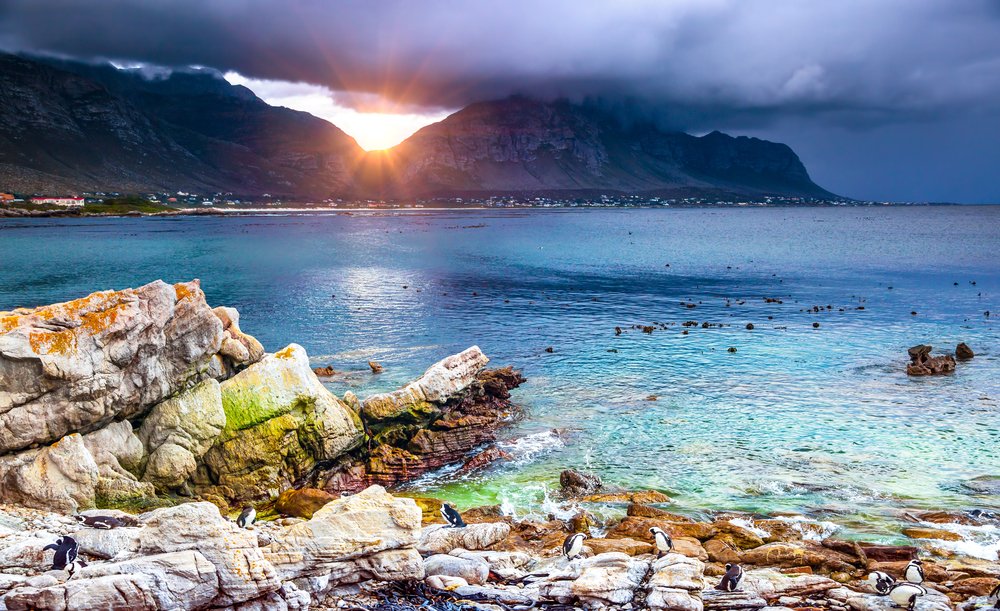 TourvestDM's tweet photo. What makes #SouthAfrica so special? Well... There are 9 reasons. Each province unique in its own way, and each boasts it's own fabulous beauty. 💙 9 completely different experiences awaits you... #MeetSouthAfrica

#ThursdayMotivation https://t.co/Bao9L6fUPg