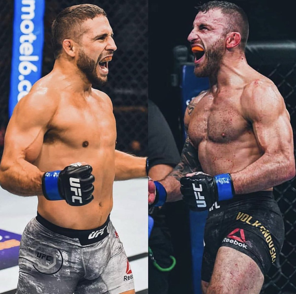 alexvolkanovski's tweet photo. December 29th, I show the world I’m the biggest threat to the featherweight division!! #ufc232 https://t.co/SuLpQ5UtoZ