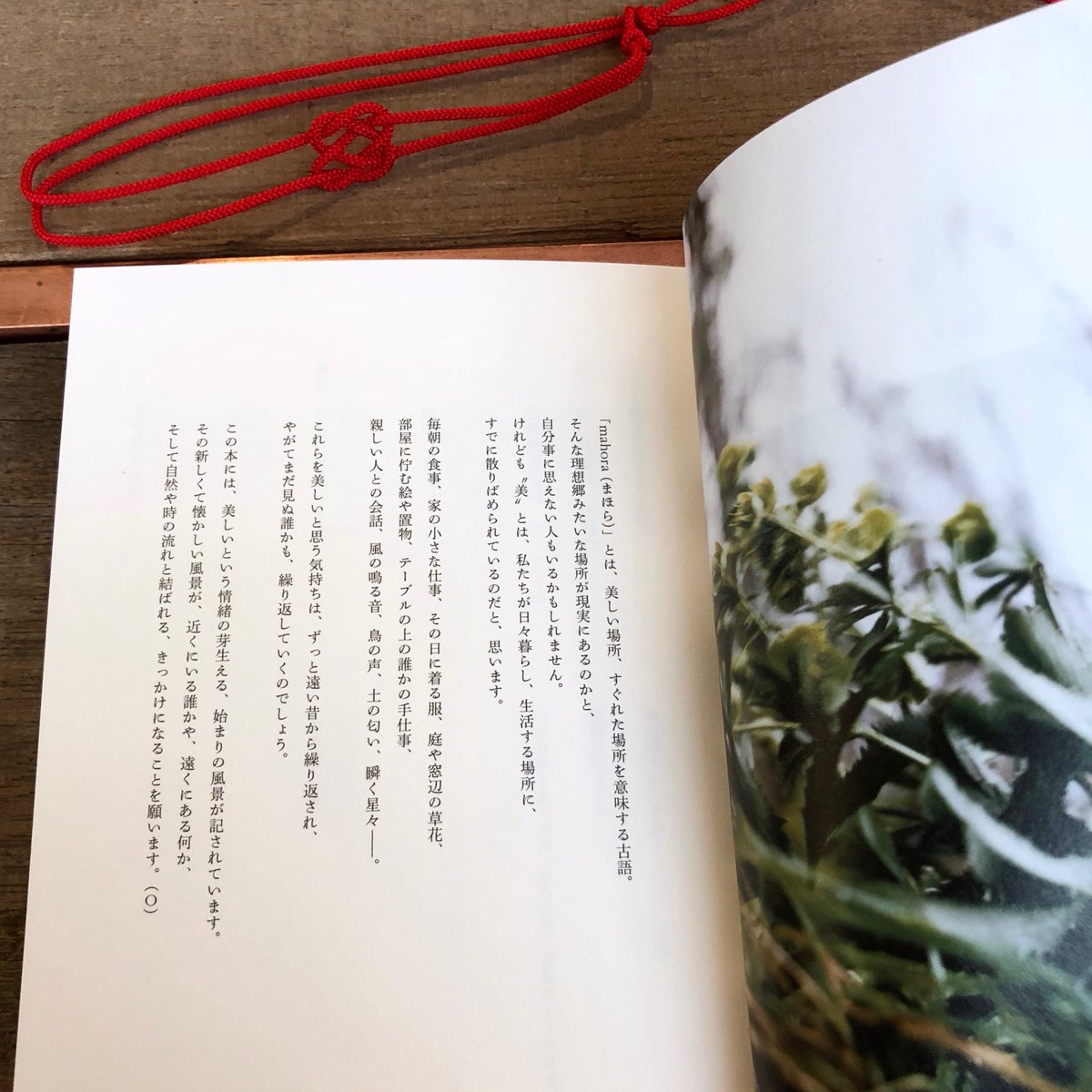 本 中川 ご縁があり良い本に出会えました ここに纏められた事柄を 誰かに手渡すことができる 本屋 という営みに ふと疑問を感じることも多々ありますが こういった本に出会え 誰かに手渡すことができる という幸せな仕事だなと改めて感じています