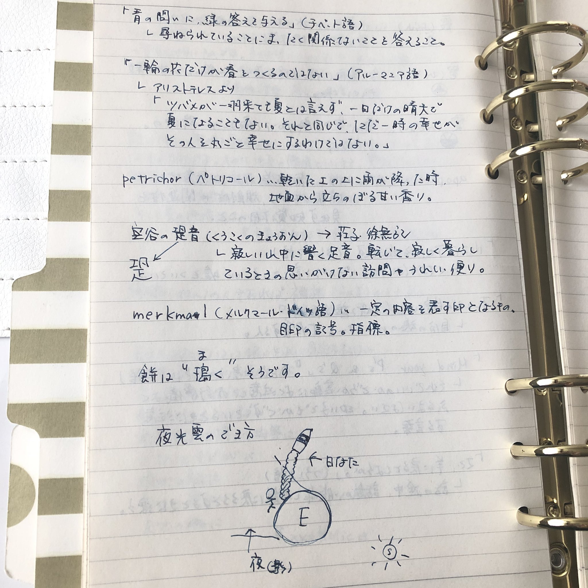待鳥 創作民の手帳 ネタ帳の書き方 手帳ゆる友 おうちノート部 覚え書き的に 今まで懐中日記に書き留めてたものを ウェブスターa5へ移行中 ネタ 単語 調べ物 名言 引用 が今のところ全てごっちゃなので 過去分を書き出したら最低でも名言