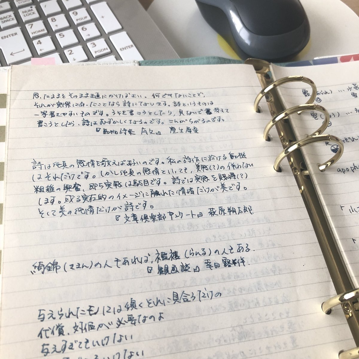 待鳥 創作民の手帳 ネタ帳の書き方 手帳ゆる友 おうちノート部 覚え書き的に 今まで懐中日記に書き留めてたものを ウェブスターa5へ移行中 ネタ 単語 調べ物 名言 引用 が今のところ全てごっちゃなので 過去分を書き出したら最低でも名言