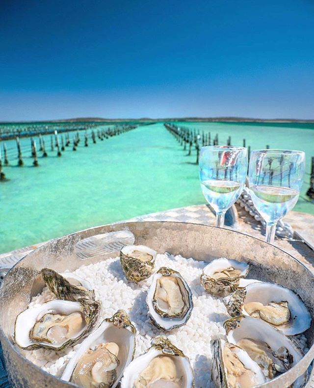 With the Port Lincoln Chamber of Commerce &amp; Tourism Business Excellence Awards Gala Dinner fast approaching this weekend, we wanted to take a moment to celebrate ALL the amazing businesses here on the Eyre Peninsula, and say WELL DONE to everyone who is running a business fr…