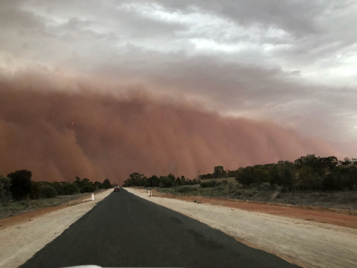 davidburch80's tweet photo. I'm glad harvest was finished before this came ripping through condobolin! https://t.co/pPdhaOJ4vr