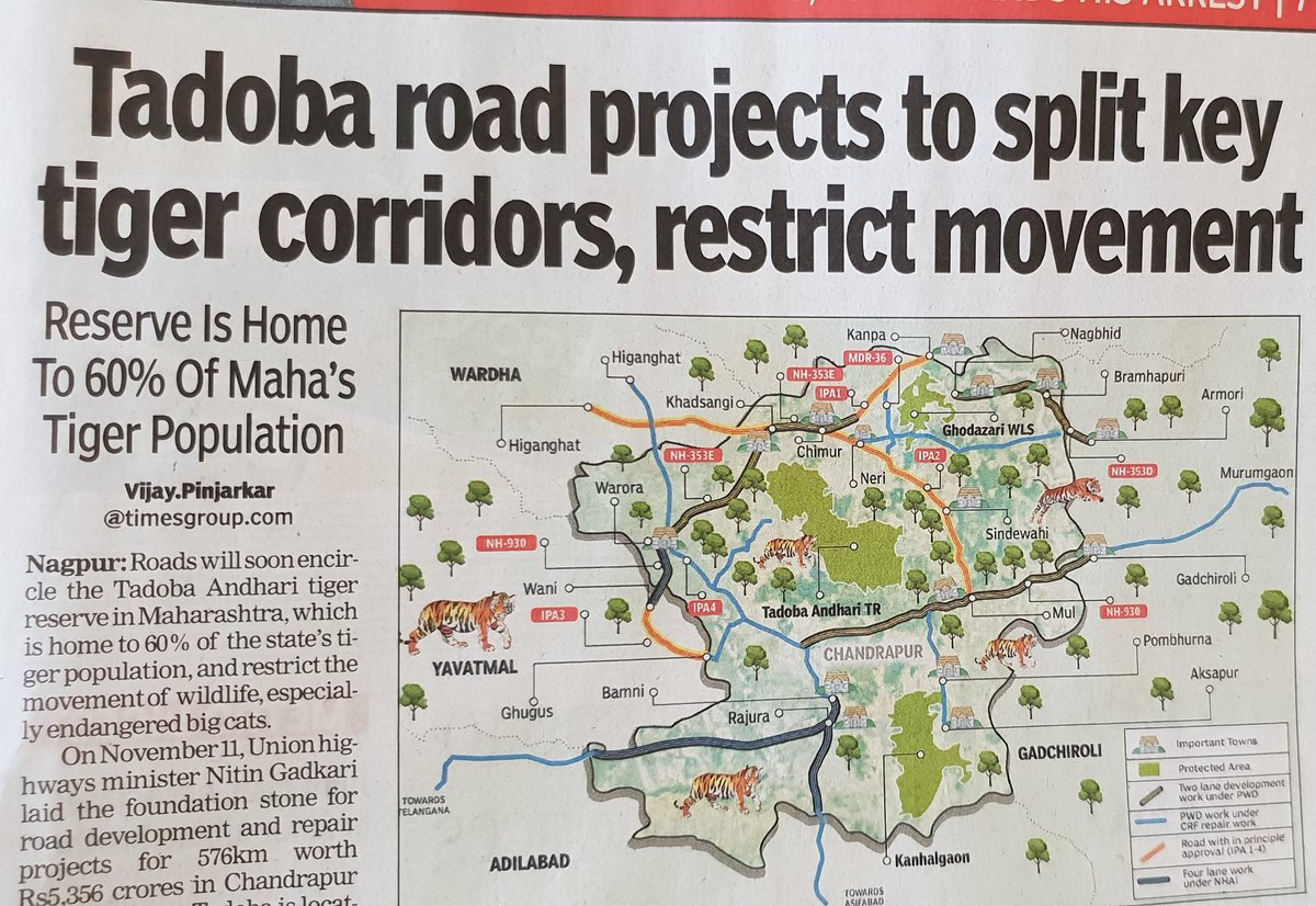 _AdilHussain's tweet photo. There you go again with another road project clearly ignoring the health of our Wild Ones. @WildlifeSOS @WildEarth #WildlifeForum2018 @RandeepHooda

Why can't we make Elevated Corridors when we pass through this Areas meant for Endangered Species?? https://t.co/fbMlDlilPs