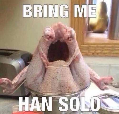 mrjafri's tweet photo. Your Turkey can speak Huttese #AlternativeThanksgivingFacts https://t.co/0GyXnm2ReW