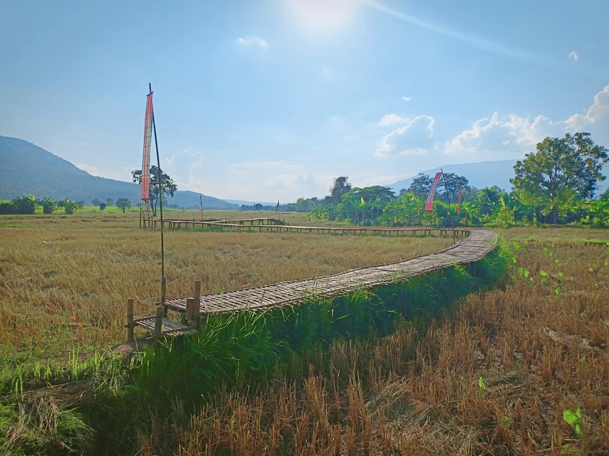 wewe20181's tweet photo. สบายๆ
@ภูหอ อ.ภูหลวง....คัฟ https://t.co/hka62tRVdz