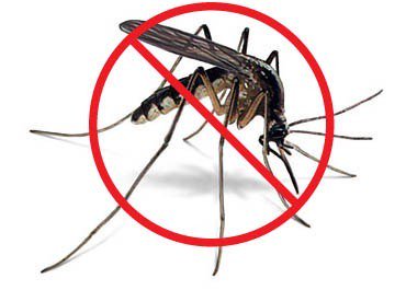 IndustrialEnvir's tweet photo. #7th International Conference on #Green Chemistry &amp; #Technology.
A #MECHANICAL INSECTICIDE APPROACH TO #NON-CHEMICAL, #LOW-COST #MOSQUITO CONTROL. https://t.co/3V9xAIAkB9
