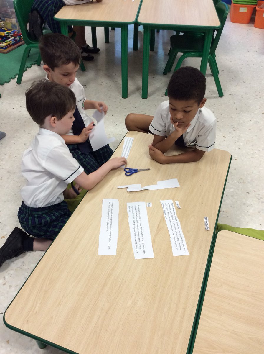 JPS_Year2's tweet photo. #JPS2G have been working collaboratively investigating the features of information reports today. #JPSenglish #JPSlearningpowers https://t.co/3wr9a6hkBN